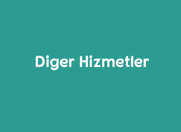 Diğer Hizmetler